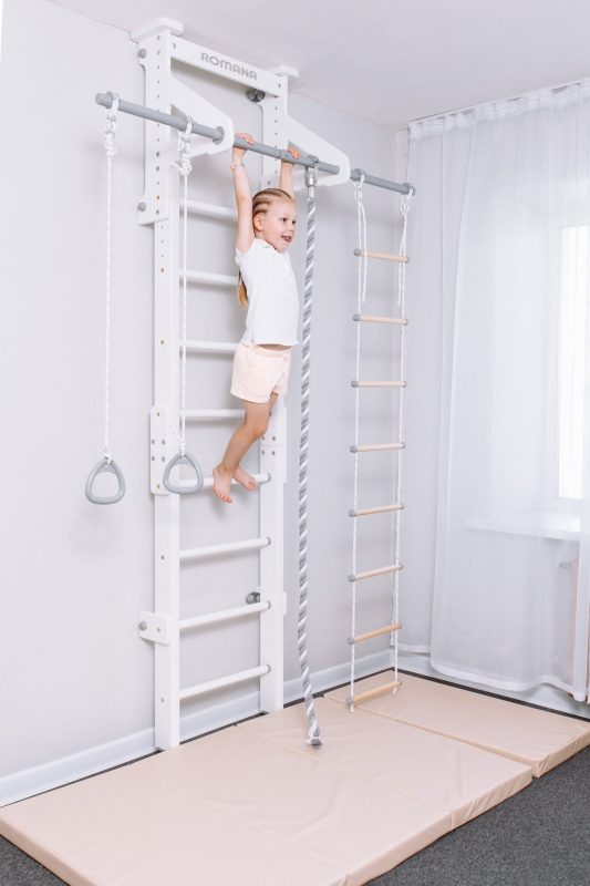 pull up bar eco 2