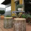 poof stump 4.jpg