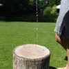 poof stump 6.jpg