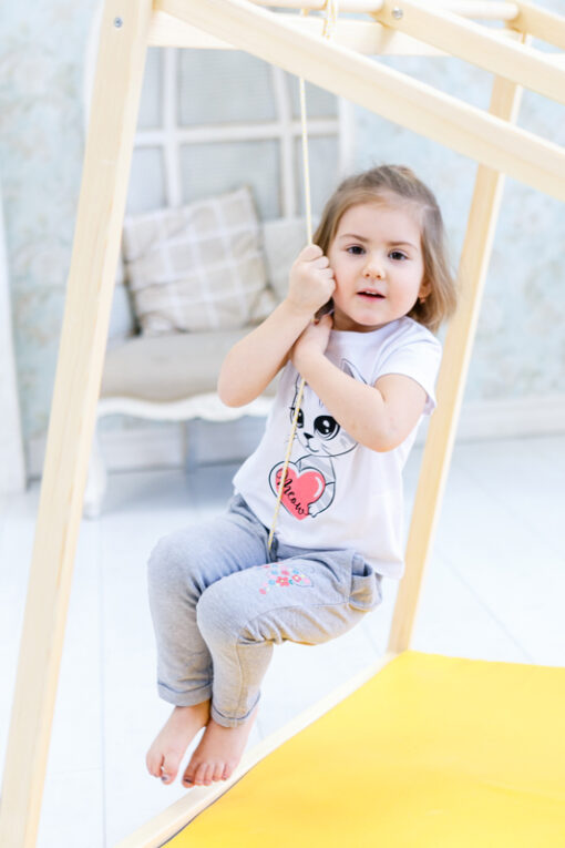 wooden disk swing.jpg
