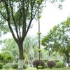 gym climbing rope with supports outdoor 2 m3