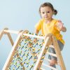 indoor playground Zebra3