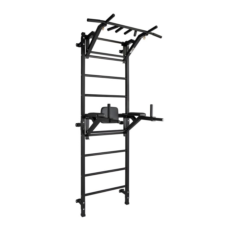 Gym wall bars Iron